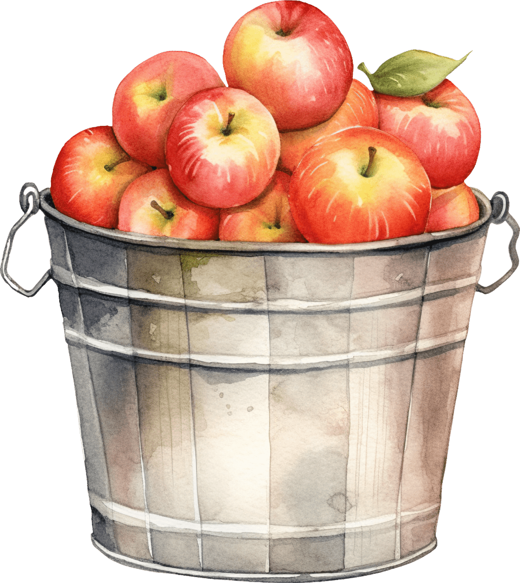 Apple Bucket - Ready To Press DTF Transfers - Buy Bulk DTF