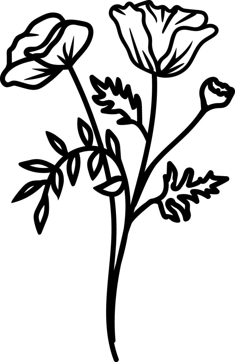 August Poppy - Ready To Press DTF Transfers - Buy Bulk DTF