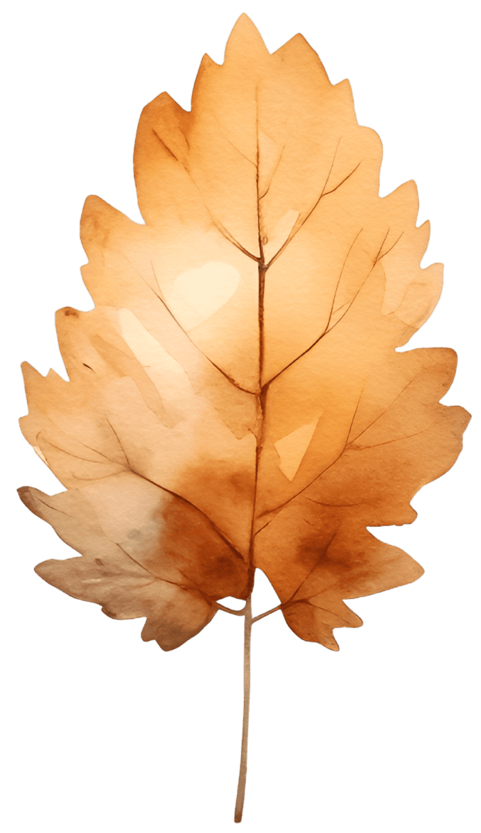 Autumn Flowers Watercolor Ready to Press DTF Transfers - Buy Bulk DTF