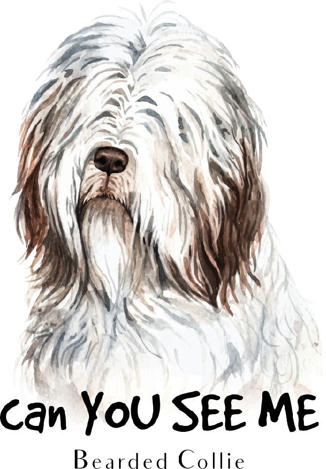 Bearded Collie Can you see me vinyl sticker Ready To Press DTF Transfer - Buy Bulk DTF