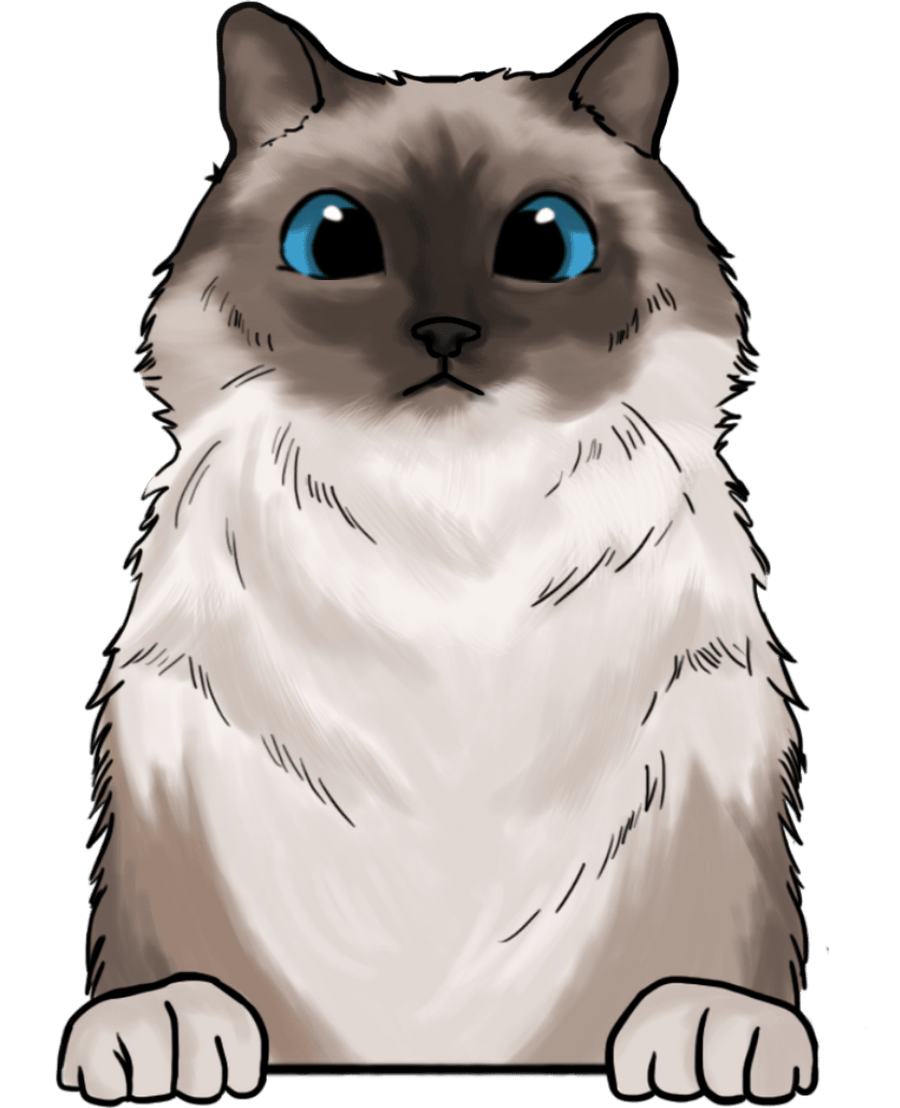 Birman - Ready To Press DTF Transfers - Buy Bulk DTF