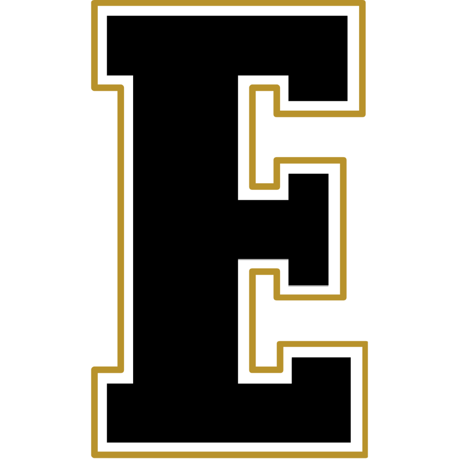 Black Gold - E Ready To Press DTF Transfer - Buy Bulk DTF