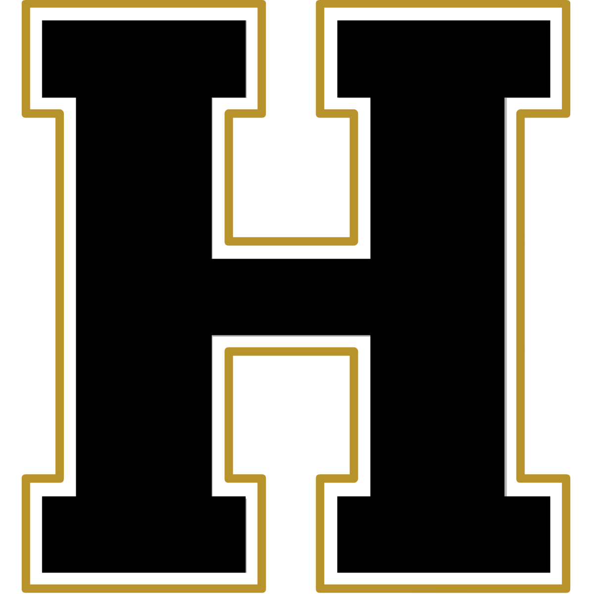 Black Gold - H Ready To Press DTF Transfer - Buy Bulk DTF