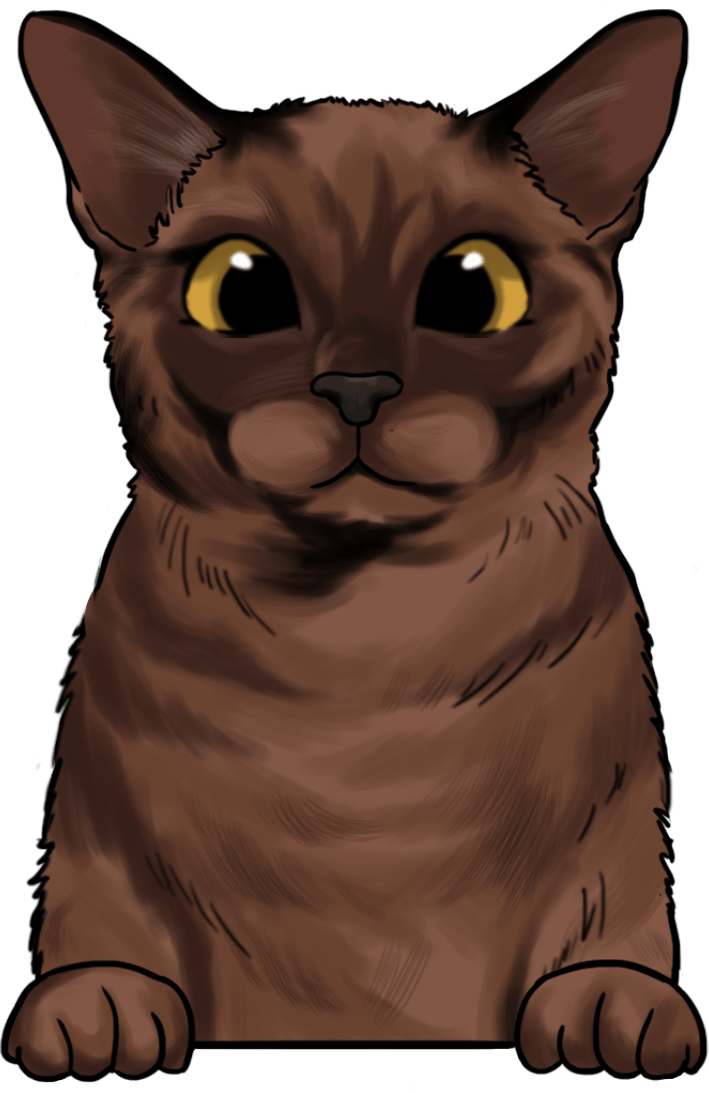 Burmese 1 - Ready To Press DTF Transfers - Buy Bulk DTF