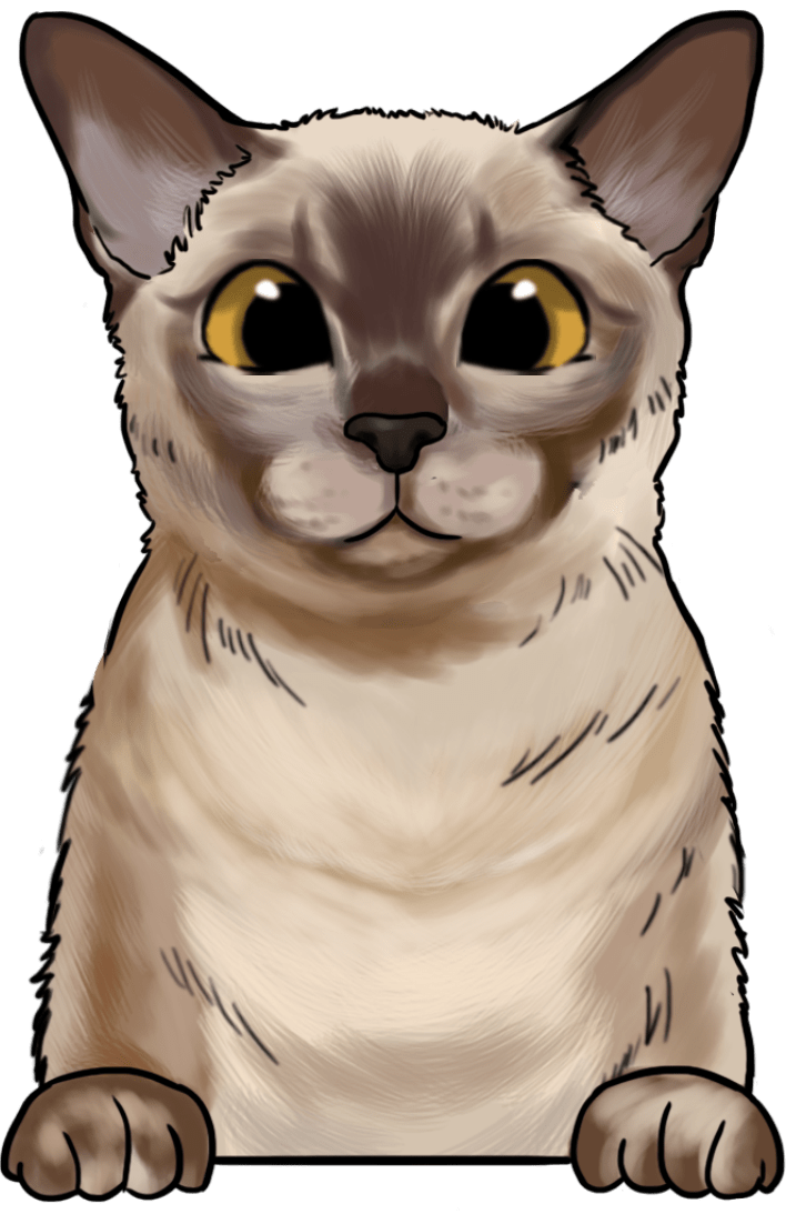 Burmese 2 - Ready To Press DTF Transfers - Buy Bulk DTF