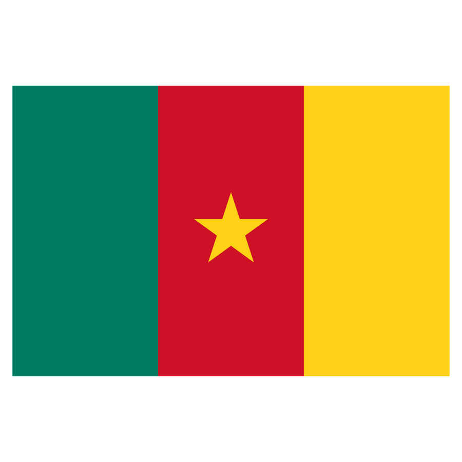 Cameroon - Ready To Press DTF Transfer - Buy Bulk DTF