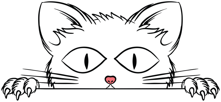 Cat Peak - Ready To Press DTF Transfer - Buy Bulk DTF