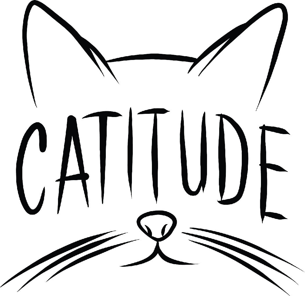 Catitude - Ready To Press DTF Transfer - Buy Bulk DTF