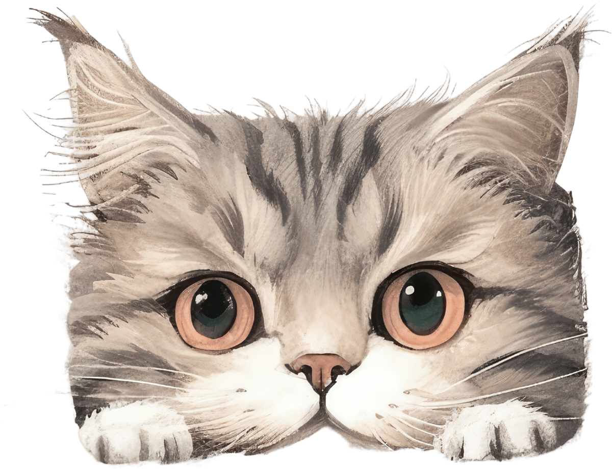 Cat's Curiosity - Ready to Press DTF Transfers - Buy Bulk DTF