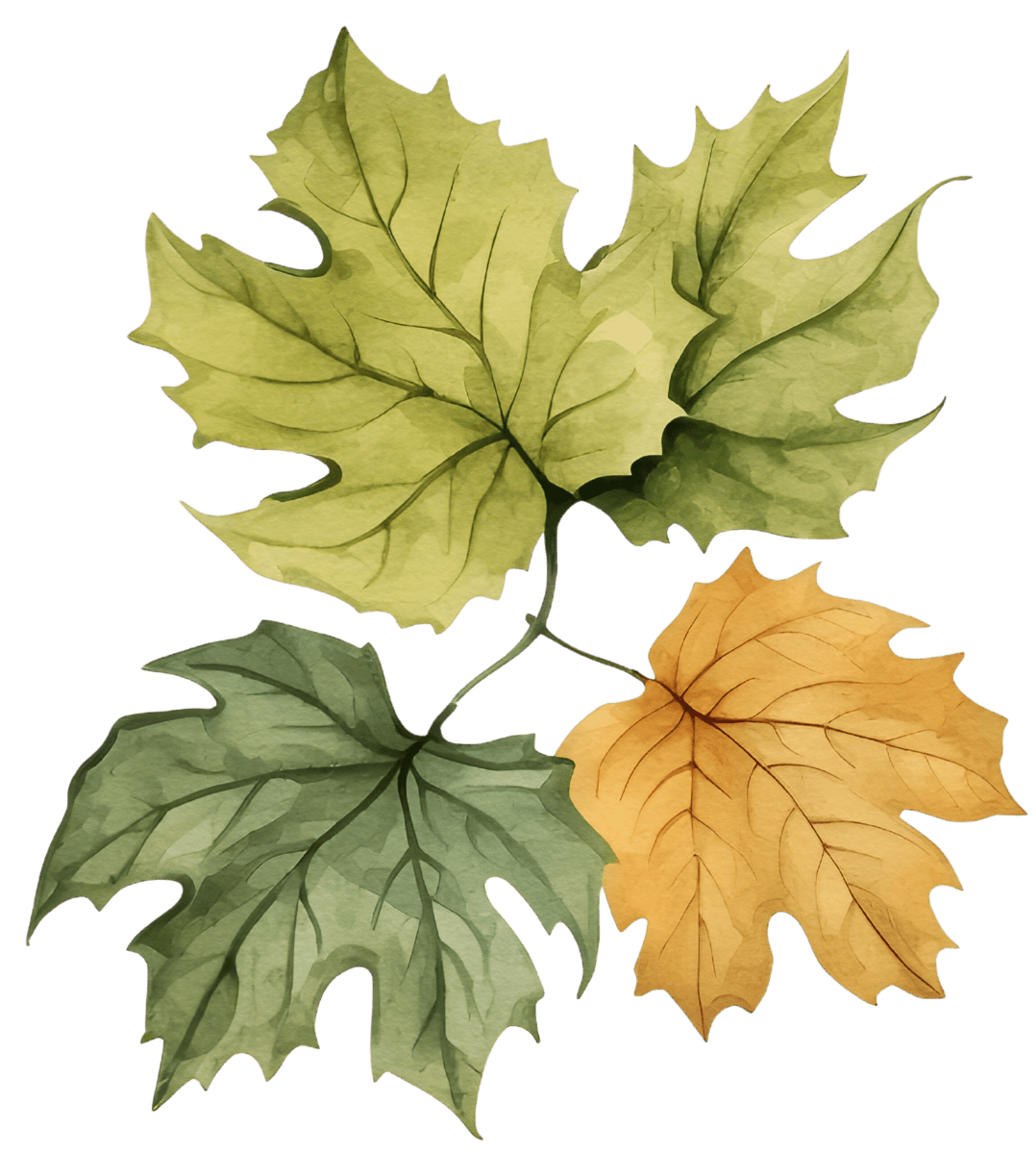 Charming Watercolor Christmas Leaves and Snowflakes Ready to Press DTF Transfers - Buy Bulk DTF