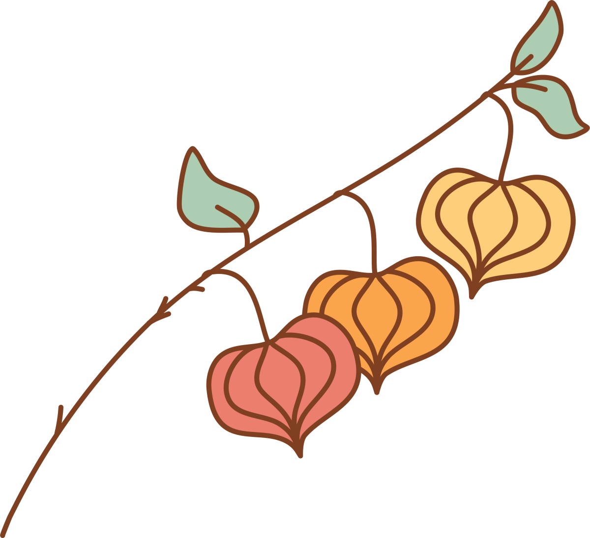 Chinese Lantern Plant - Ready To Press DTF Transfer - Buy Bulk DTF