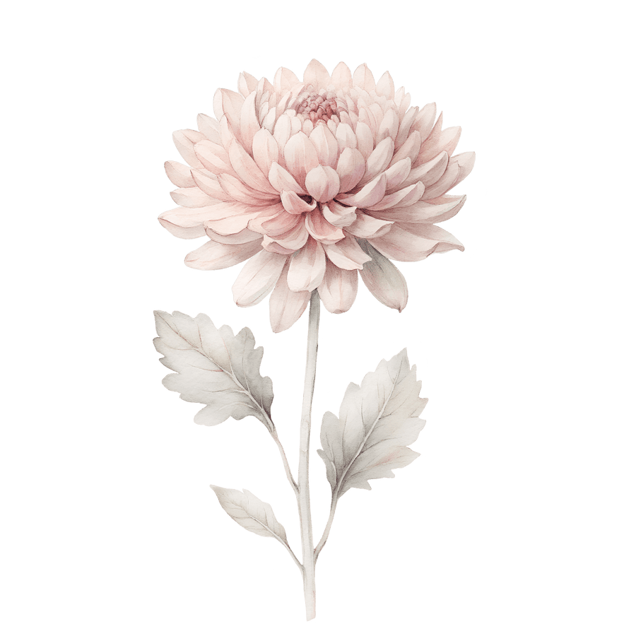 Chrysanthemum - Ready To Press DTF Transfers - Buy Bulk DTF
