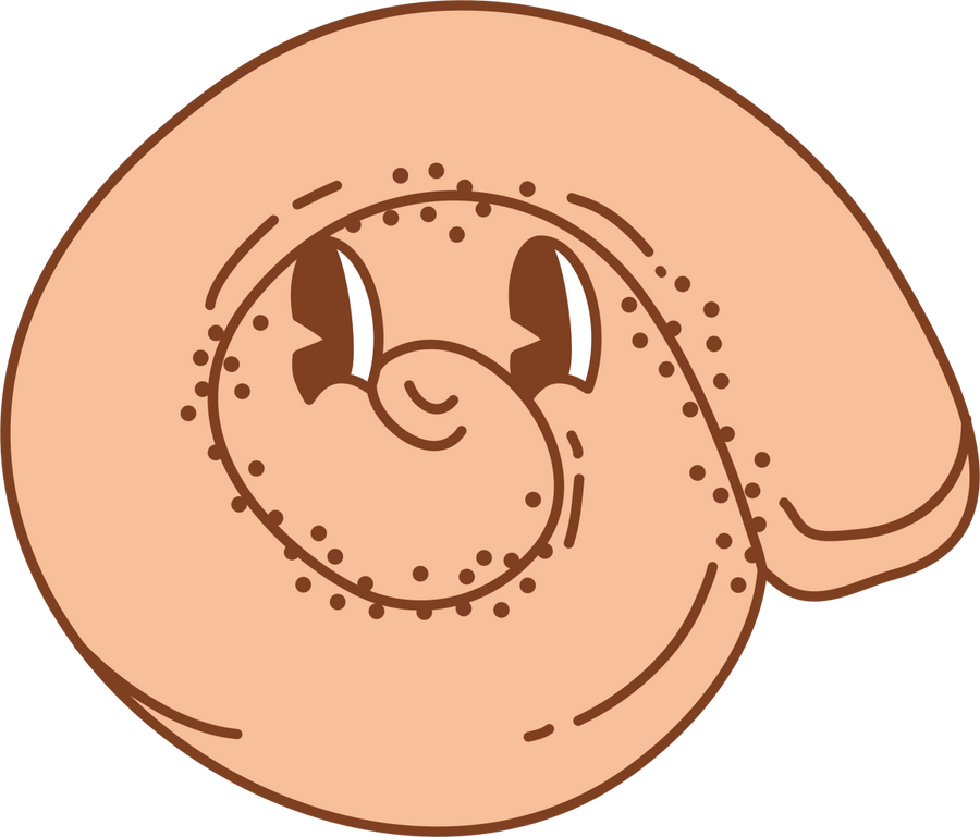 Cinnamon roll - Ready To Press DTF Transfers - Buy Bulk DTF