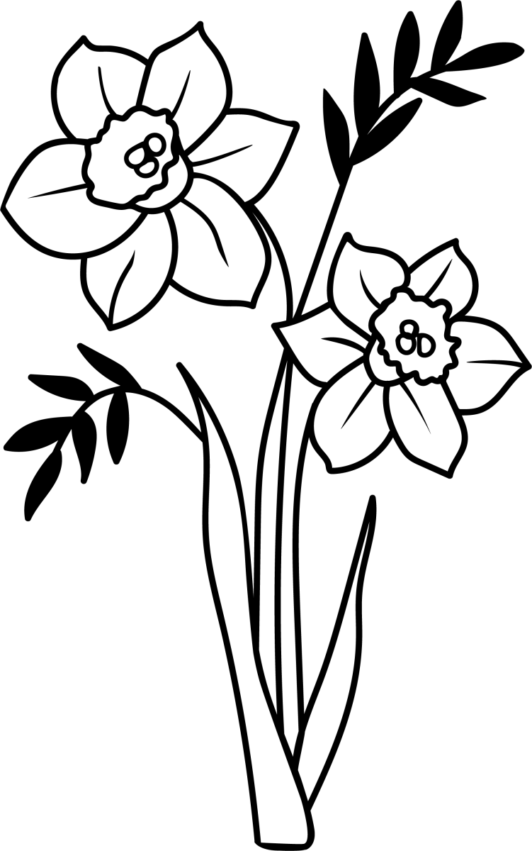 Daffodil March - Ready To Press DTF Transfers - Buy Bulk DTF