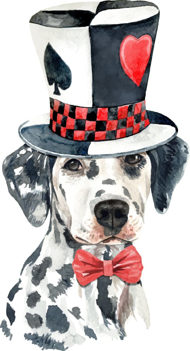 Dalmatian Dog with Top Hat Ready To Press DTF Transfer - Buy Bulk DTF