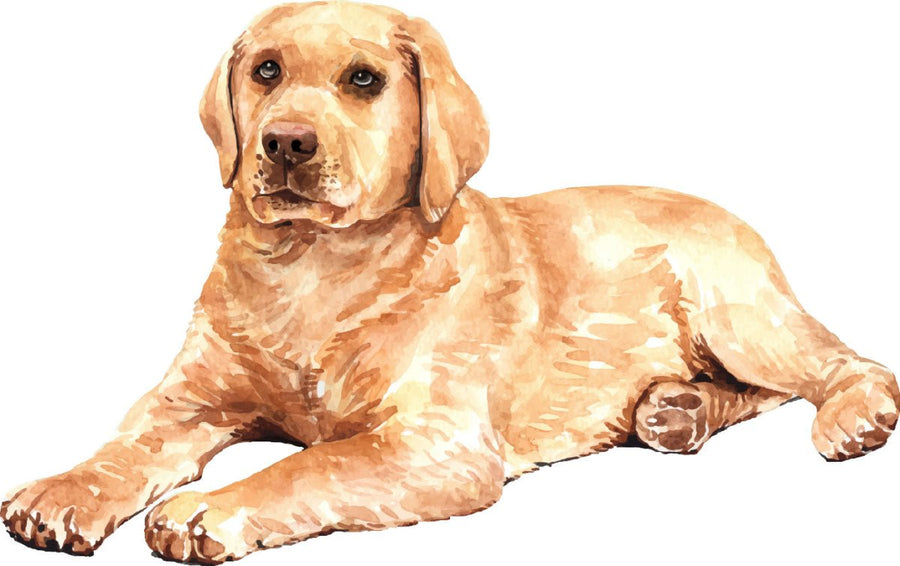 Drawn Labrador Retriever Watercolor Dog Ready To Press DTF Transfer - Buy Bulk DTF