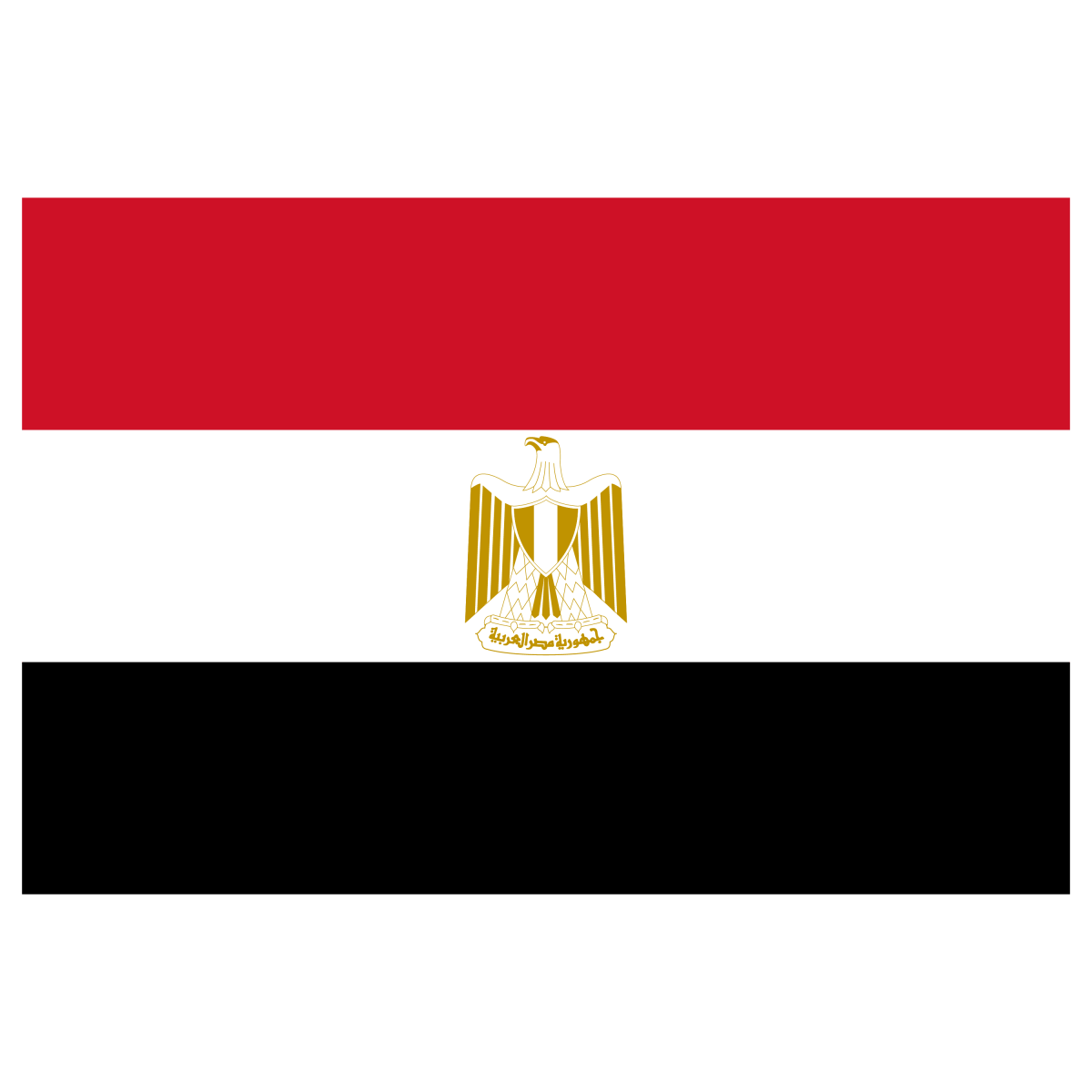 Egypt - Ready To Press DTF Transfer - Buy Bulk DTF