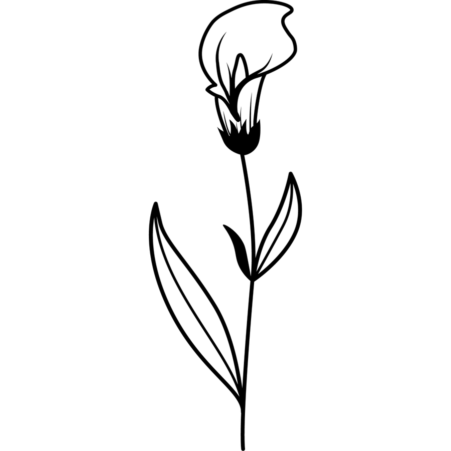 Enchanted Petals - Ready To Press DTF Transfers - Buy Bulk DTF