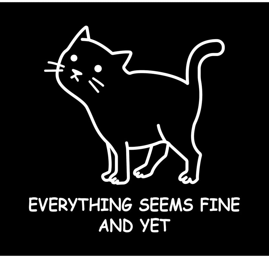 EVERYTHING - SEEMS - FINE Ready To Press DTF Transfer - Buy Bulk DTF