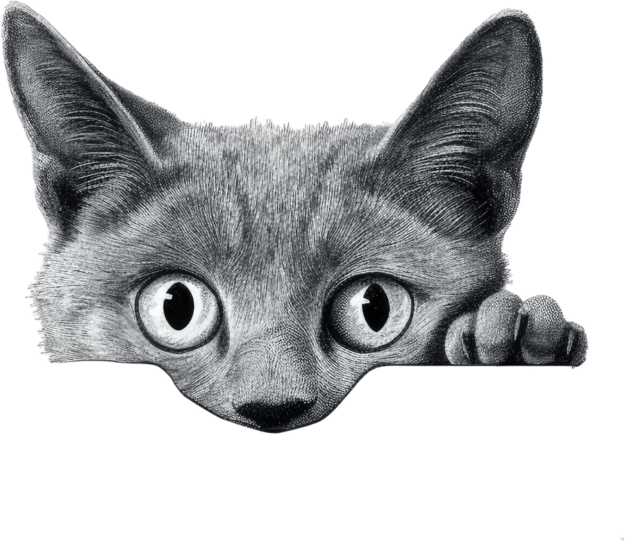 Feline Fancies - Ready to Press DTF Transfers - Buy Bulk DTF