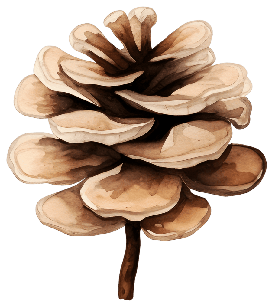 Festive Watercolor Christmas Flowers and Pine Ready to Press DTF Transfers - Buy Bulk DTF