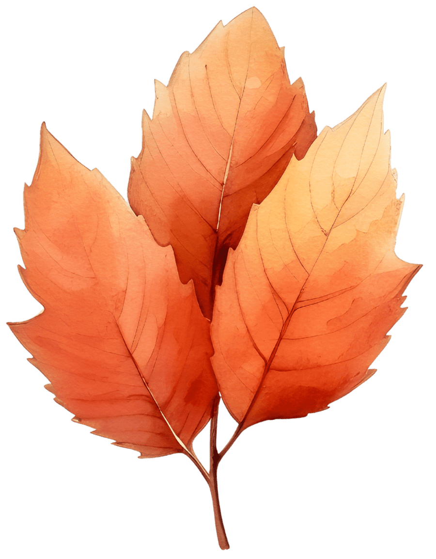 Festive Watercolor Christmas Wreath with Leaves Ready to Press DTF Transfers - Buy Bulk DTF