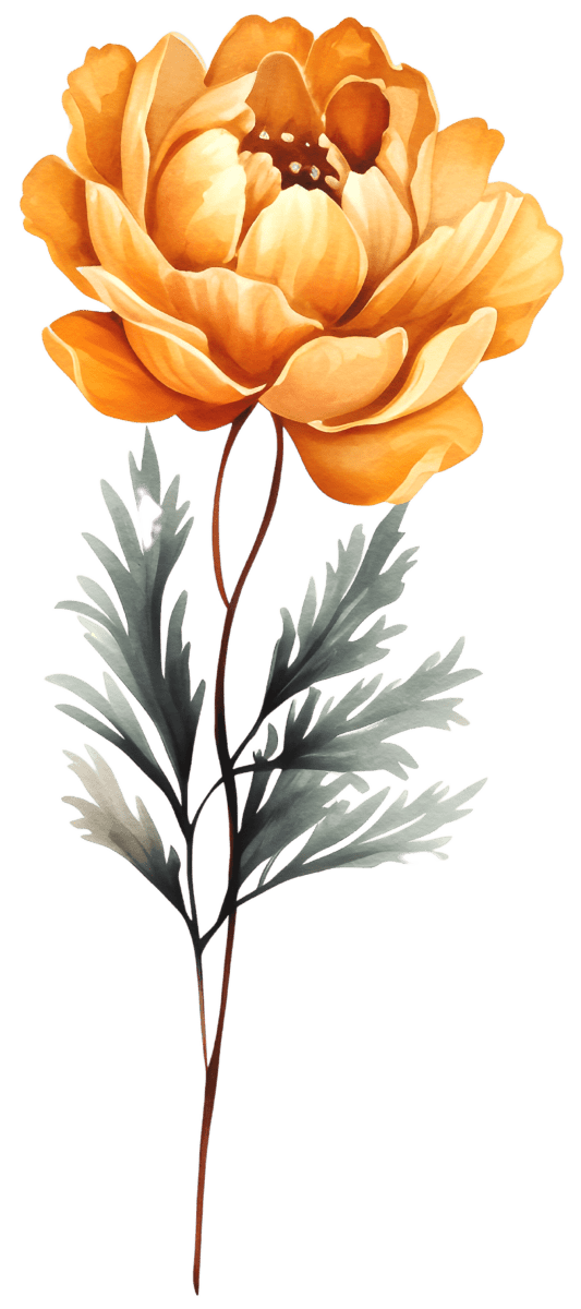 Festive Watercolor Winter Flowers and Snowflakes Ready to Press DTF Transfers - Buy Bulk DTF