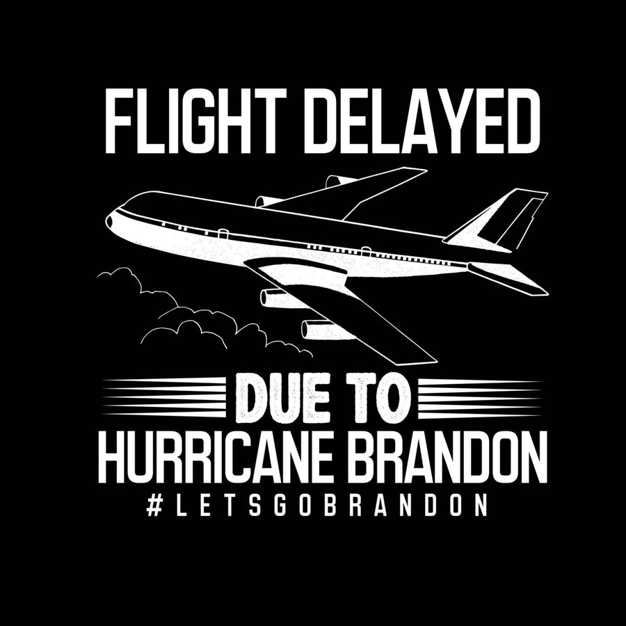 Flight Delayed Due To Hurricane Brandon - Ready To Press DTF Transfer - Buy Bulk DTF