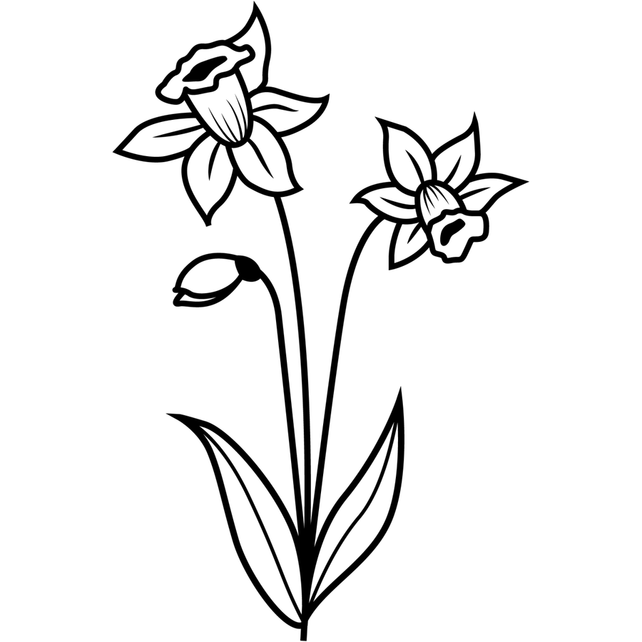 Floral Radiance - Ready To Press DTF Transfers - Buy Bulk DTF