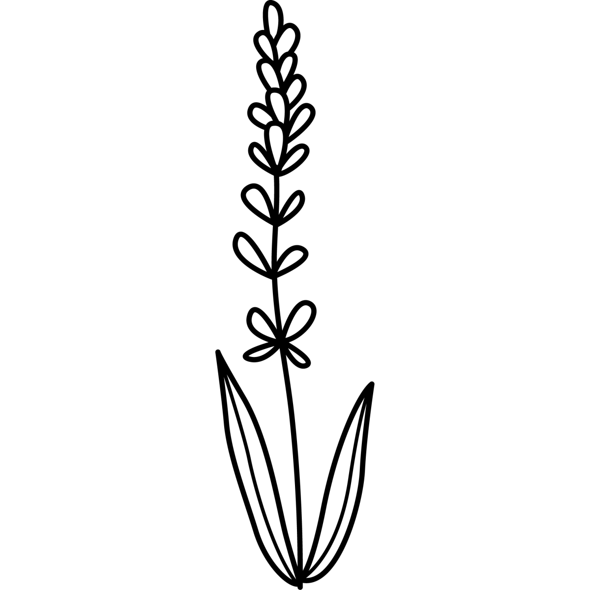 Fresh Fables - Ready To Press DTF Transfers - Buy Bulk DTF