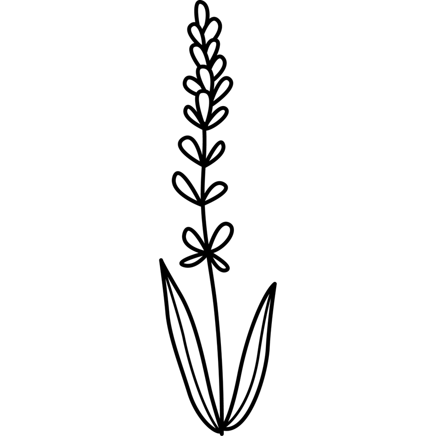 Fresh Fables - Ready To Press DTF Transfers - Buy Bulk DTF