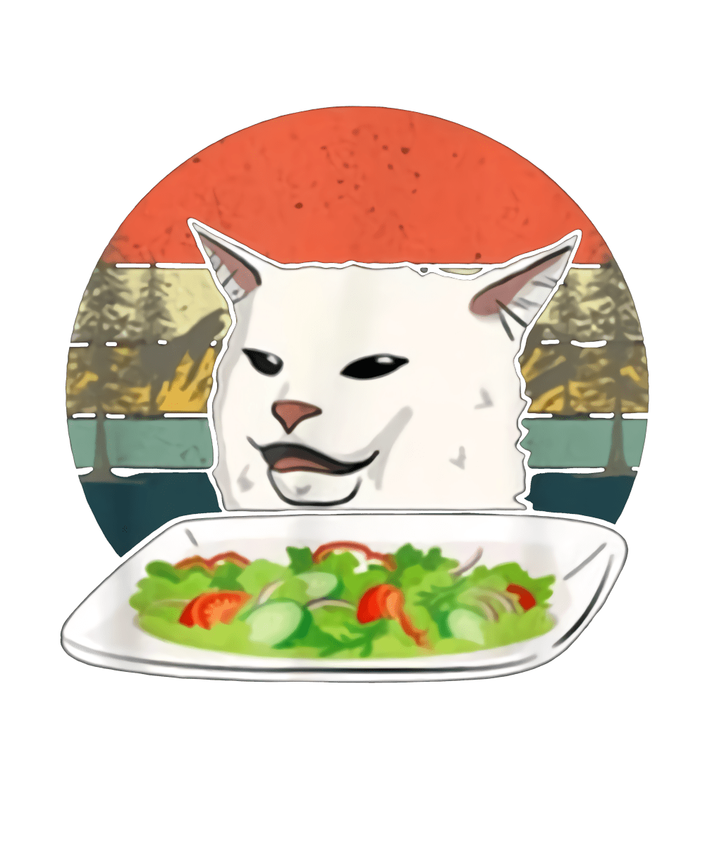 Funny Cat Meme - Ready To Press DTF Transfer - Buy Bulk DTF