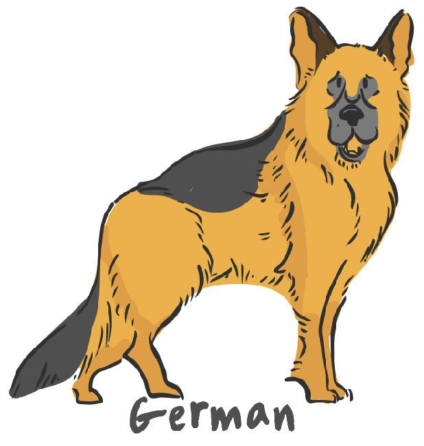 German Shepherd Vinyl Sticker Ready To Press DTF Transfer - Buy Bulk DTF