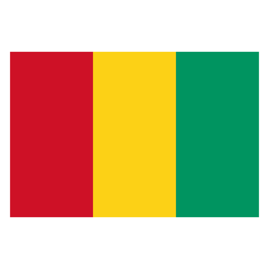 Guinea - Ready To Press DTF Transfer - Buy Bulk DTF