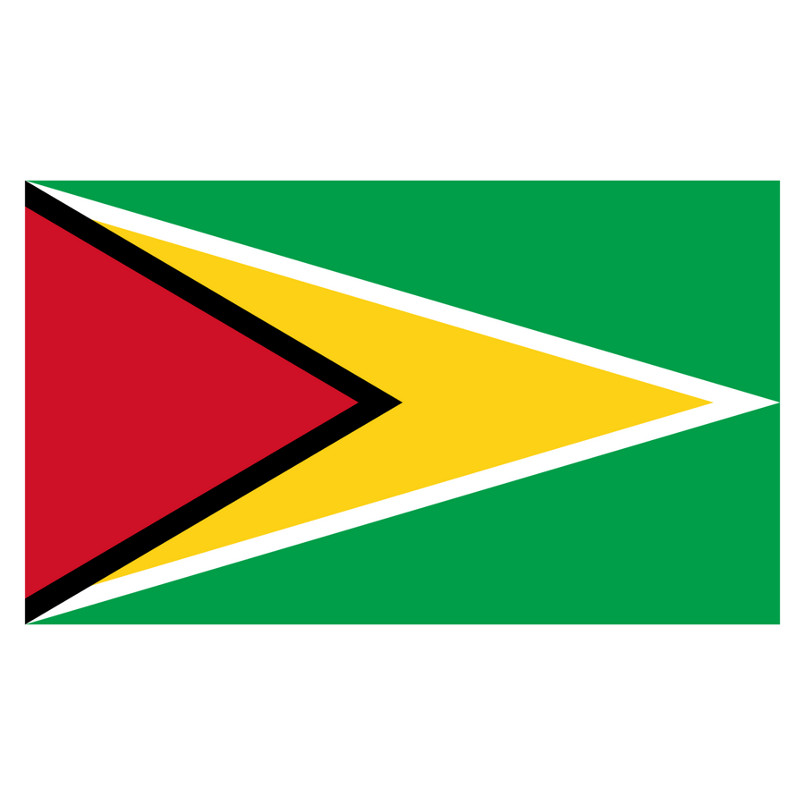 Guyana - Ready To Press DTF Transfer - Buy Bulk DTF