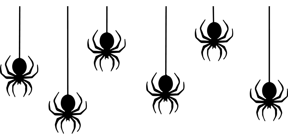 Halloween Spider - UV DTF Libbey Glass Wrap - Buy Bulk DTF