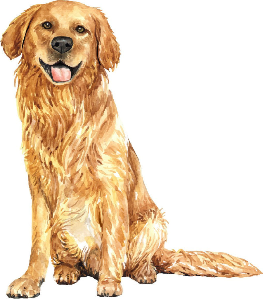 Hand Drawn Golden Retriever Watercolor Vinyl Sticker Ready To Press DTF Transfer - Buy Bulk DTF