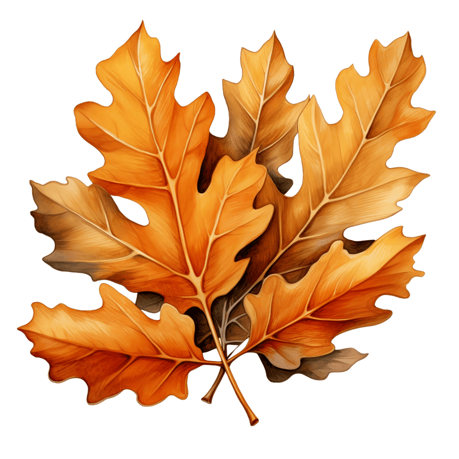 Harvest Gold - Ready To Press DTF Transfer - Buy Bulk DTF