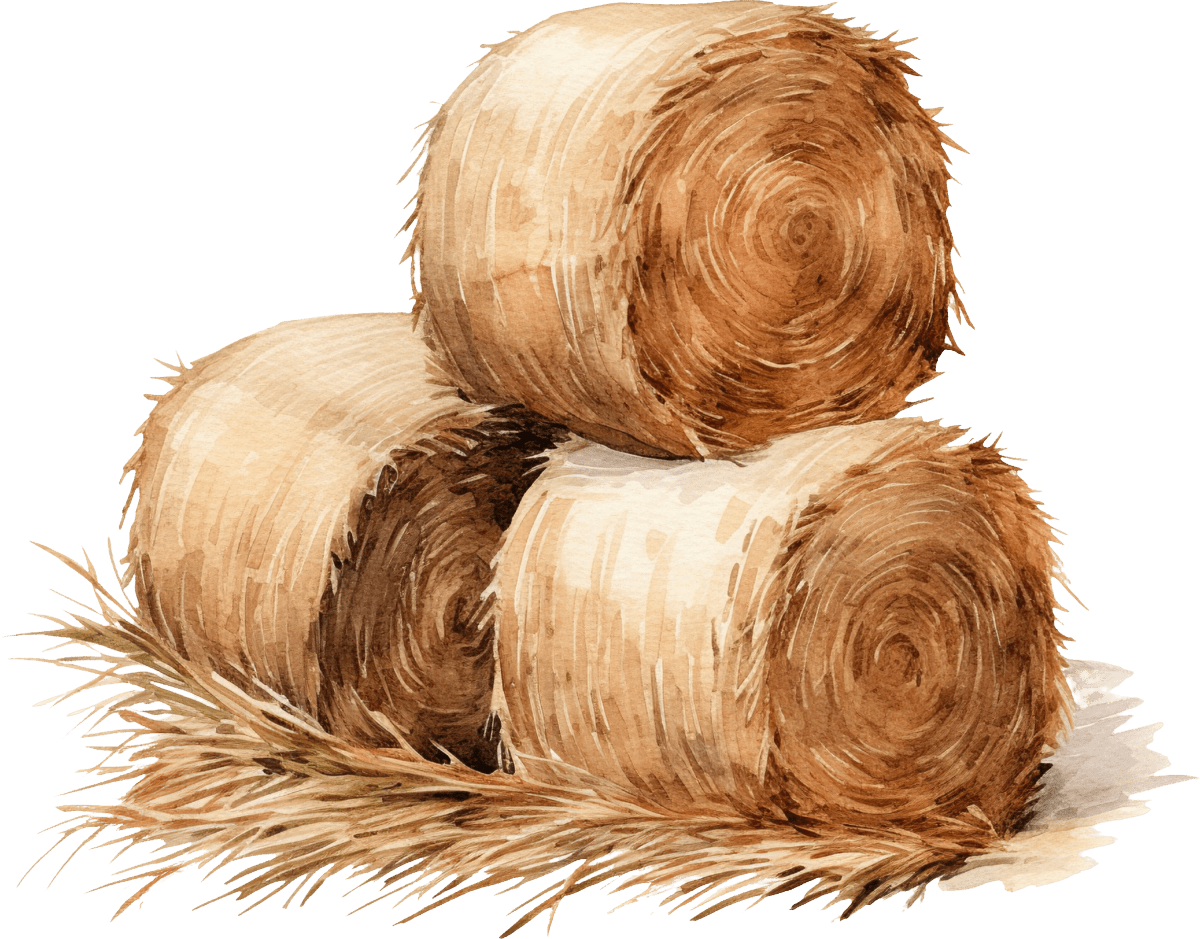 Hay Bale - Ready To Press DTF Transfers - Buy Bulk DTF