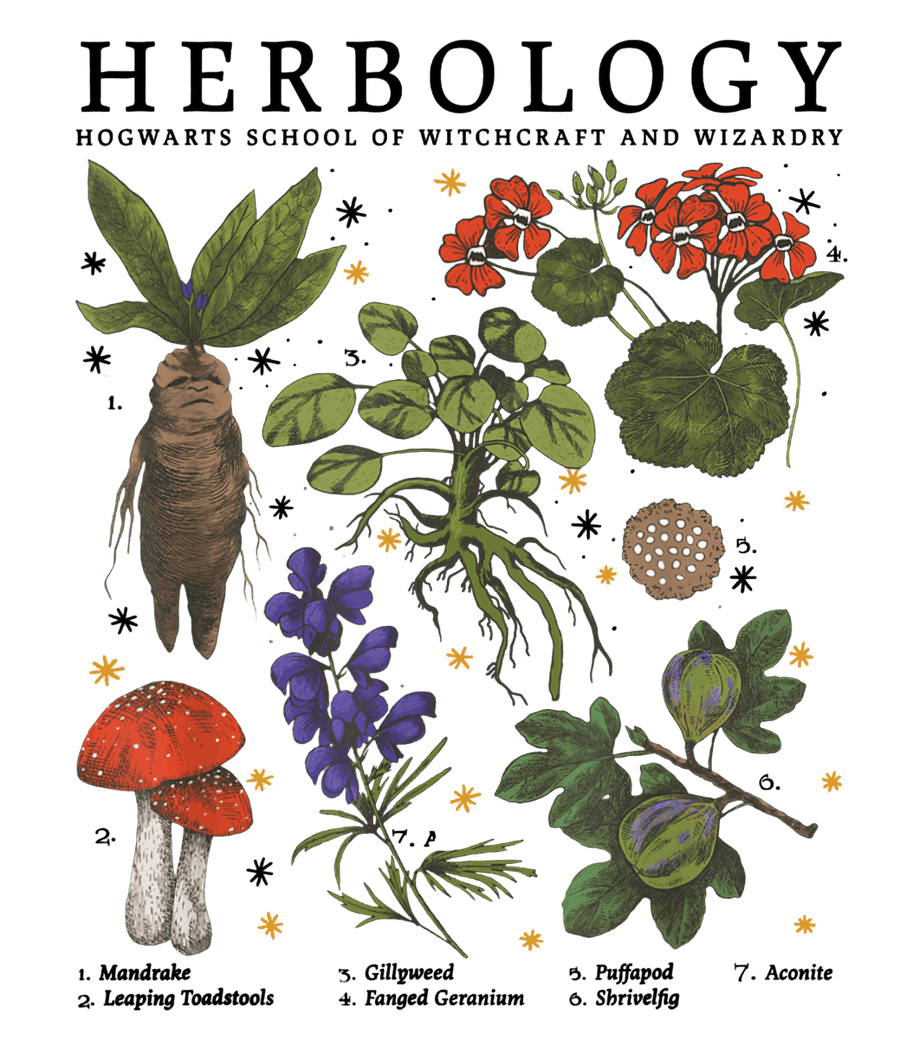 Herbology Plants - Ready To Press DTF Transfer - Buy Bulk DTF