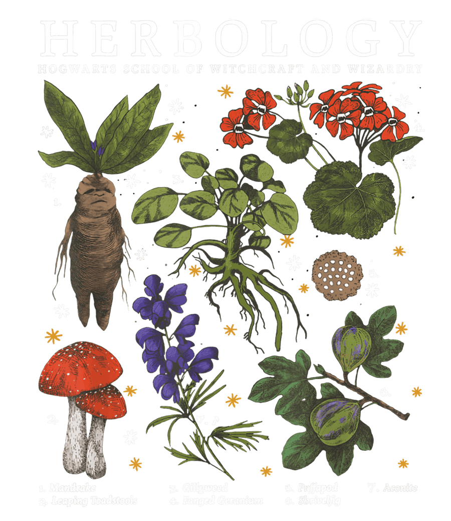 Herbology Plants White - Ready To Press DTF Transfer - Buy Bulk DTF