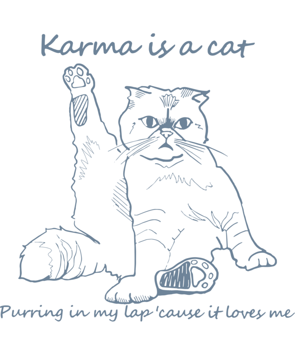Karma is a cat - Ready To Press DTF Transfers - Buy Bulk DTF