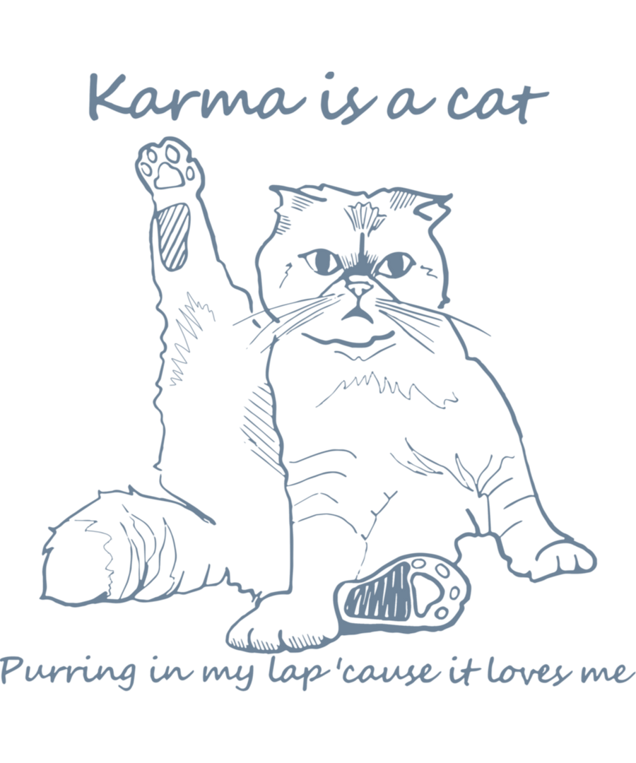 Karma is a cat - Ready To Press DTF Transfers - Buy Bulk DTF