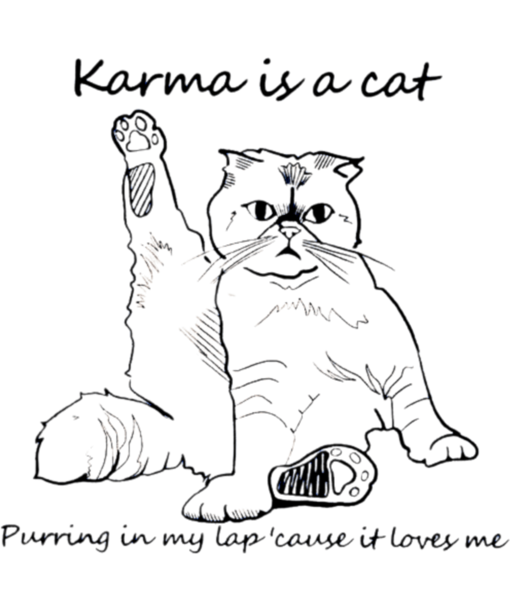 Karma is my Cat Gifts - Ready To Press DTF Transfers - Buy Bulk DTF