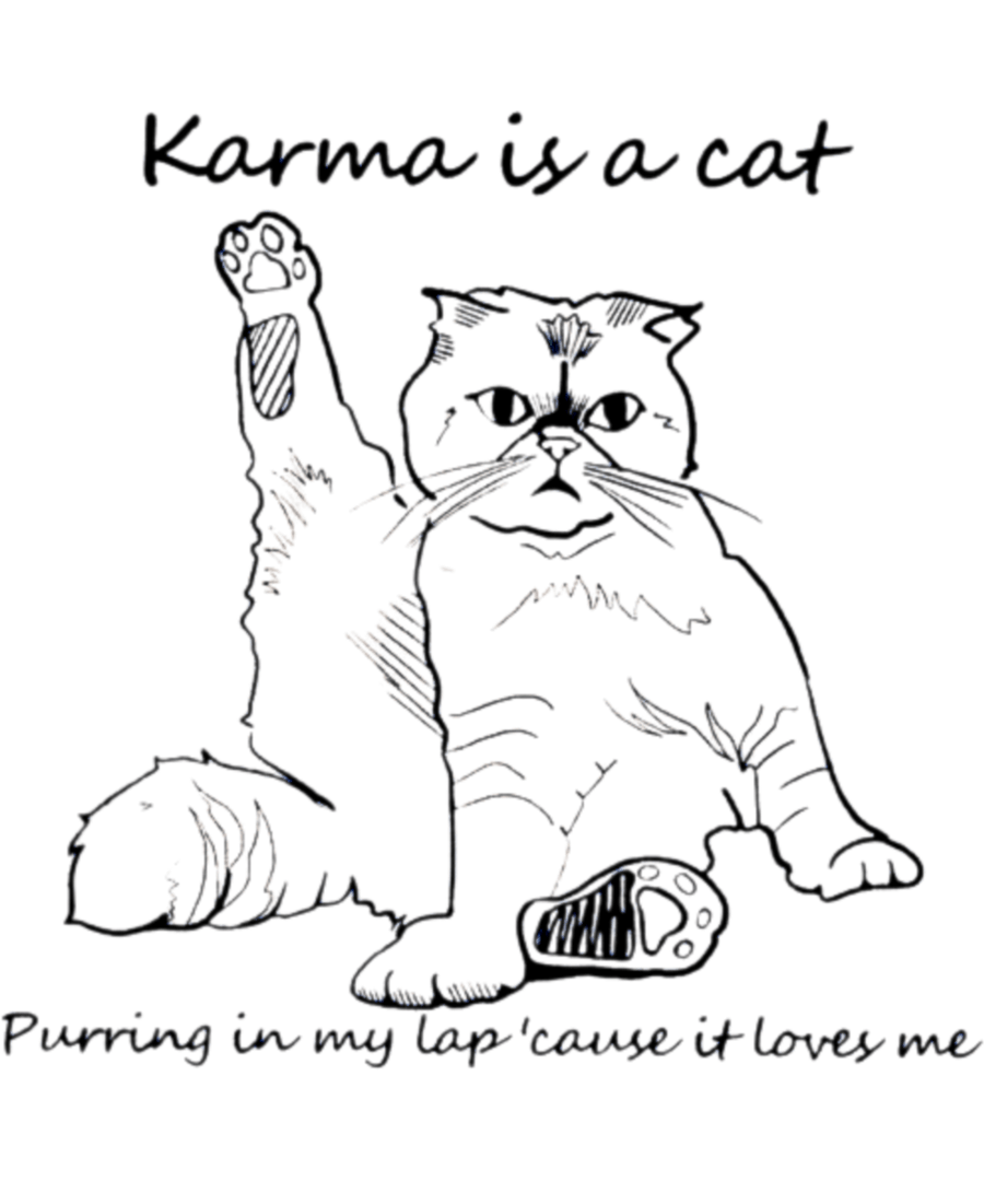 Karma is my Cat Gifts - Ready To Press DTF Transfers - Buy Bulk DTF