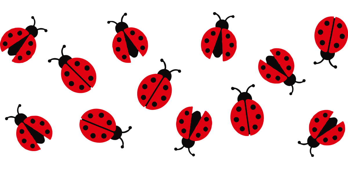 Ladybug - UV DTF Libbey Glass Wrap - Buy Bulk DTF