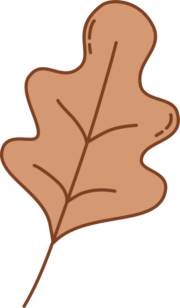 Leaf - Oak - Brown - Ready To Press DTF Transfer - Buy Bulk DTF