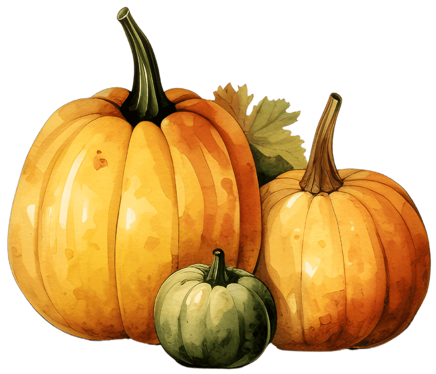 Magical Pumpkin Watercolor Ready to Press DTF Transfers - Buy Bulk DTF