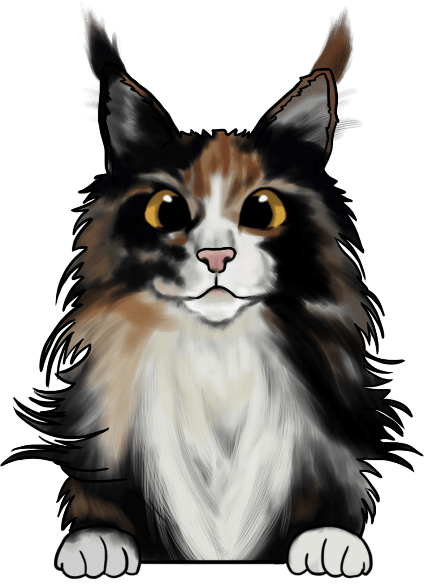 Malncoon 1 - Ready To Press DTF Transfers - Buy Bulk DTF