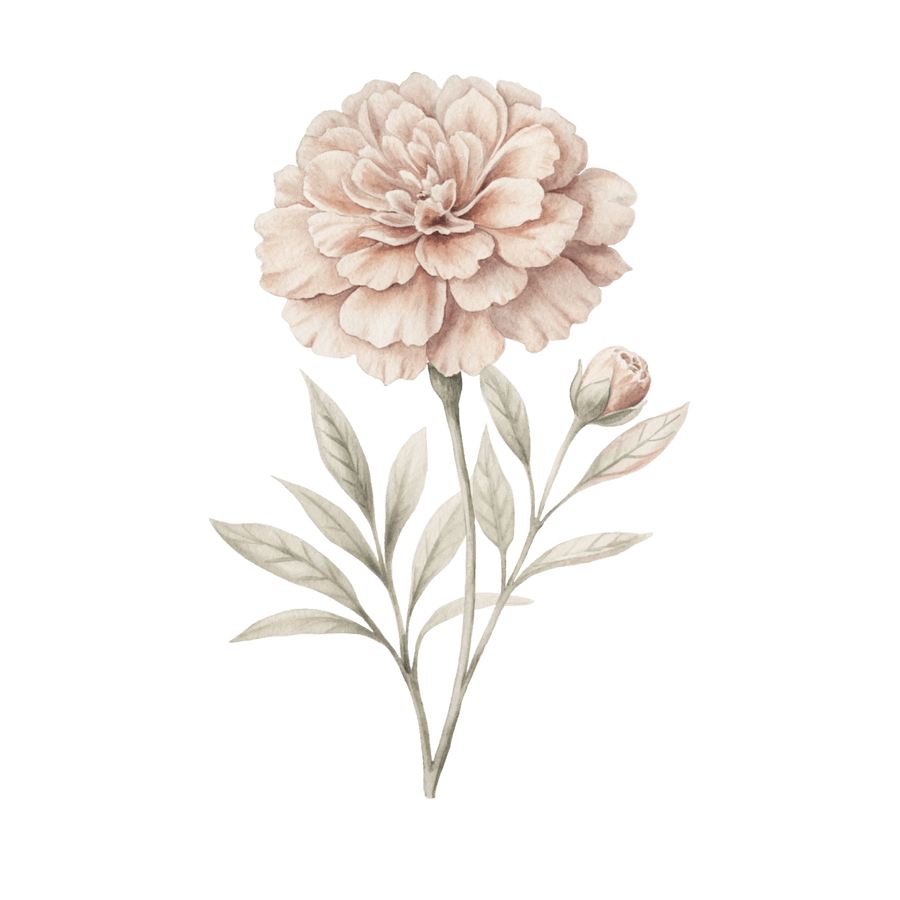 Marigold - Ready To Press DTF Transfers - Buy Bulk DTF